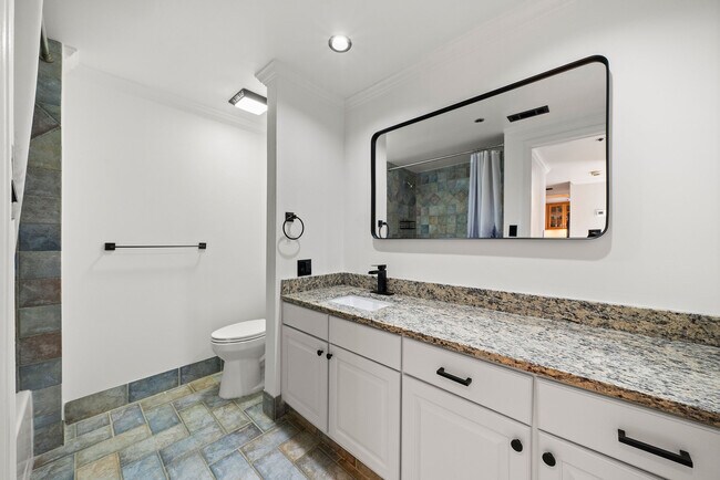 bathroom - 1130 Piedmont Ave NE