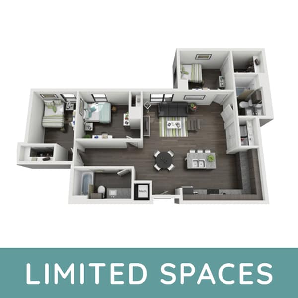NuttyBrown_e_Limited - Skyloft Austin