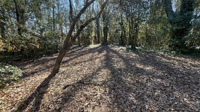 Building Photo - 2621Dr Dr Carver Rd