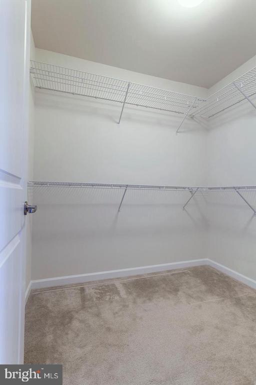 Building Photo - 2706 Amber Crest Rd