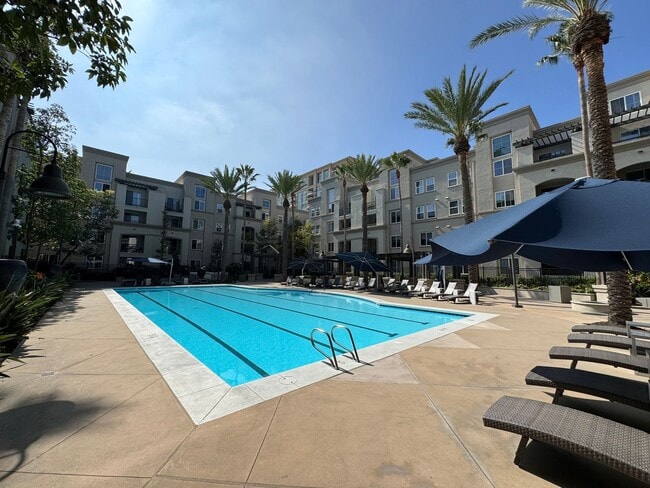 Building Photo - Stunning 1Bd/1Ba Condo in The Heart of Irv...