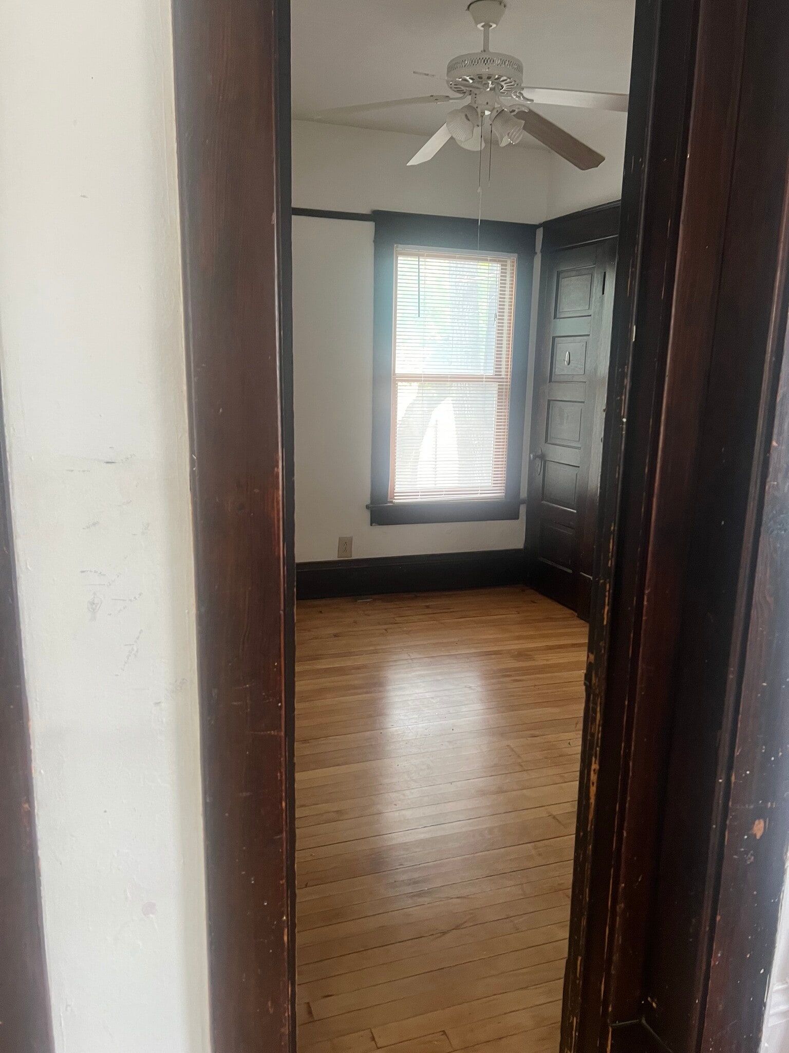 Building Photo - 611 19th St