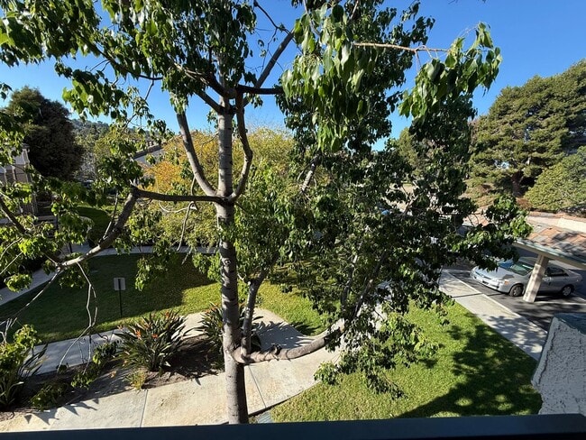 Building Photo - 1BR/1BA Condo w/ ASSIGNED PARKING for rent near Del Mar AVAILABLE NOW!