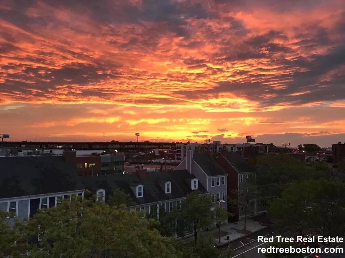 Building Photo - 445 Main St