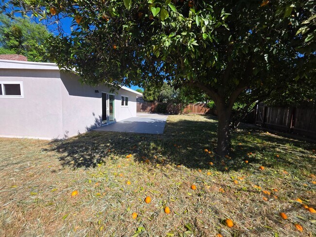 Building Photo - Remodeled Single Story in College neighborhood!