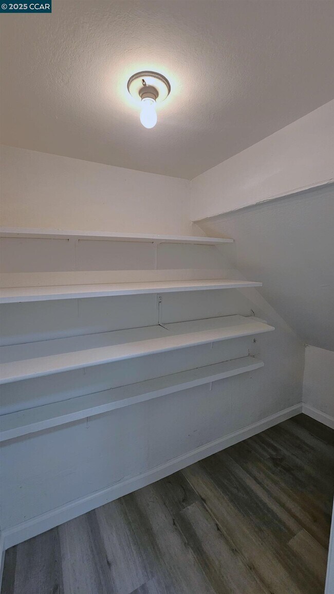 Building Photo - 1446 Del Rio Cir
