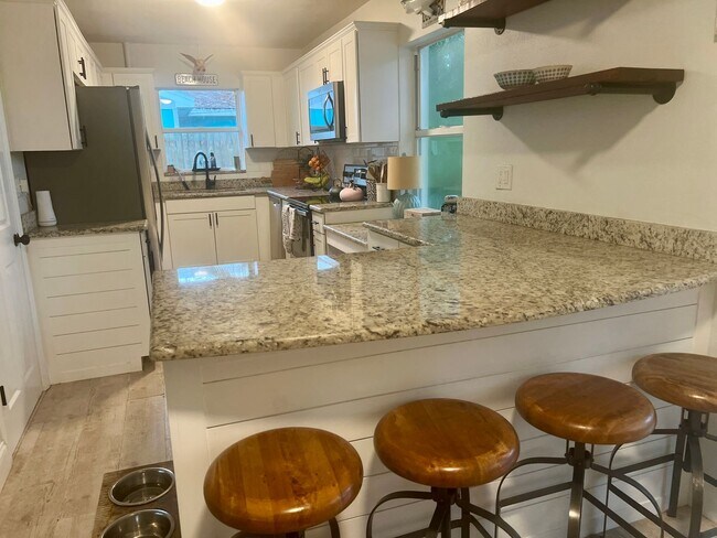 Building Photo - DUNEDIN FL LIVING 3/1 HOME