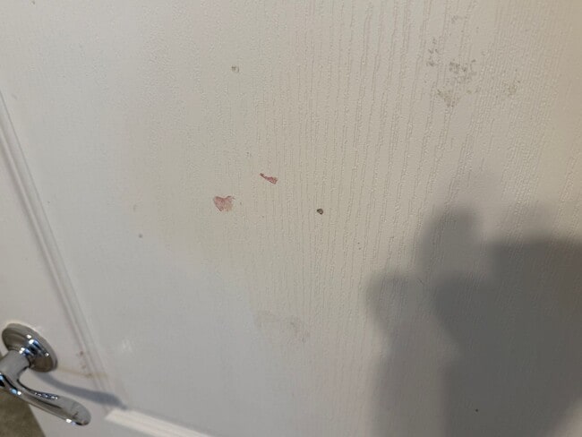 Building Photo - This is a great home located in Seville