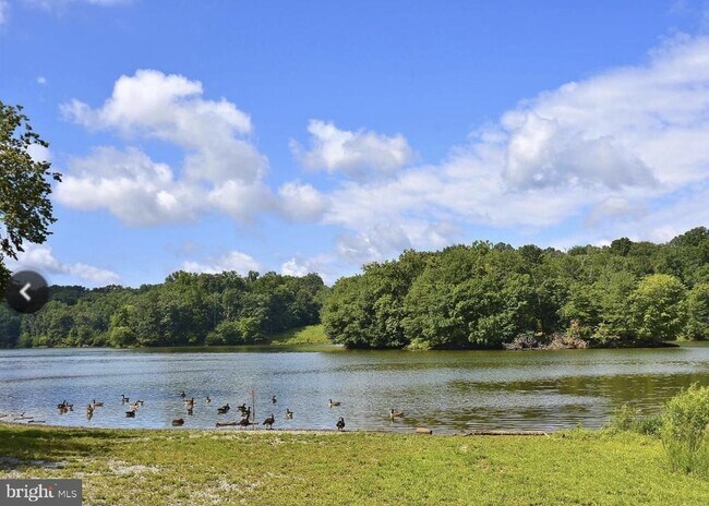 Building Photo - 8141 Needwood Rd