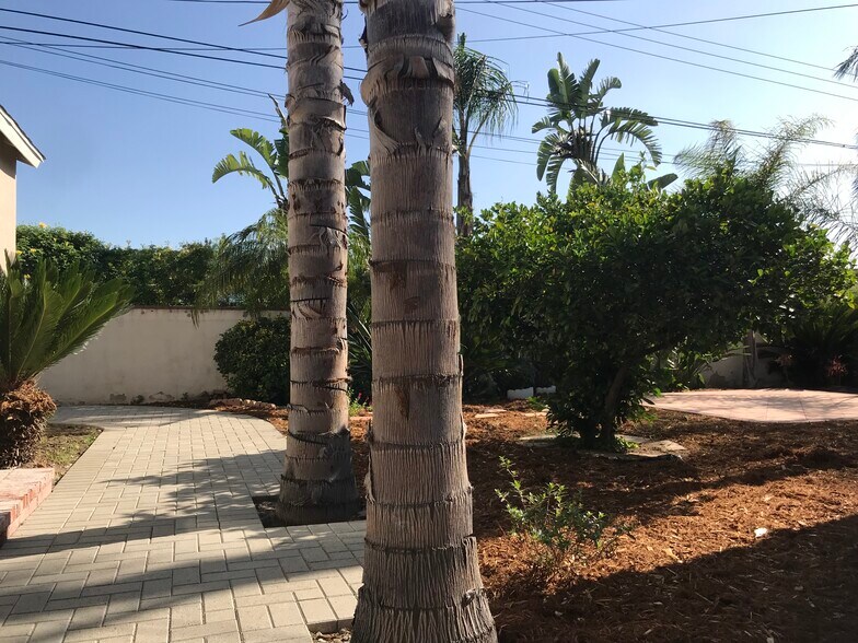 Building Photo - 438 Sycamore Ave