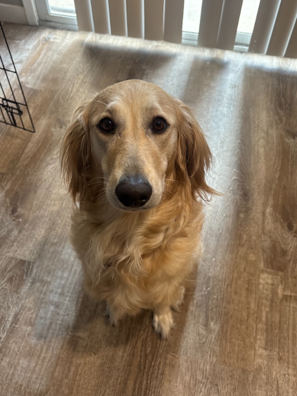 Building Photo - 4828 W Orangewood Ave