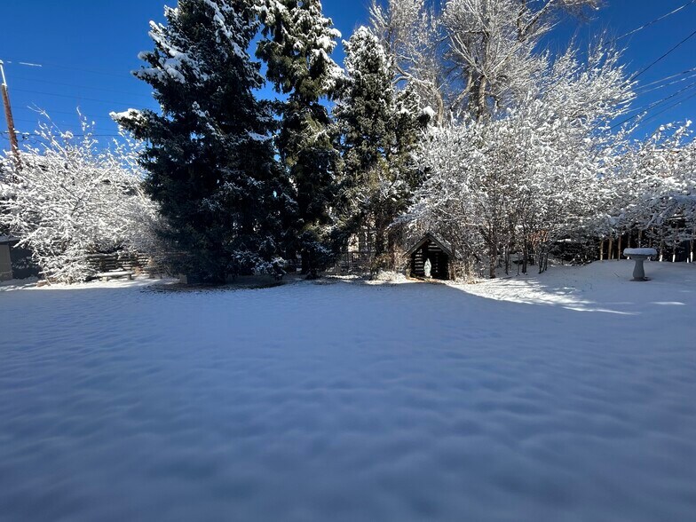 Back yard view from walkout basement apartment - 6555 W 10th Pl
