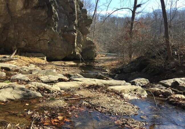 Building Photo - 10394 Meadowhead Cir