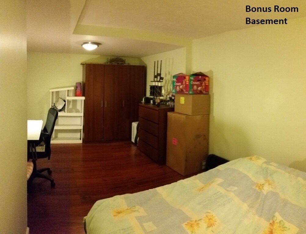 Bonus Room (lower level) - 23 Oneil Dr
