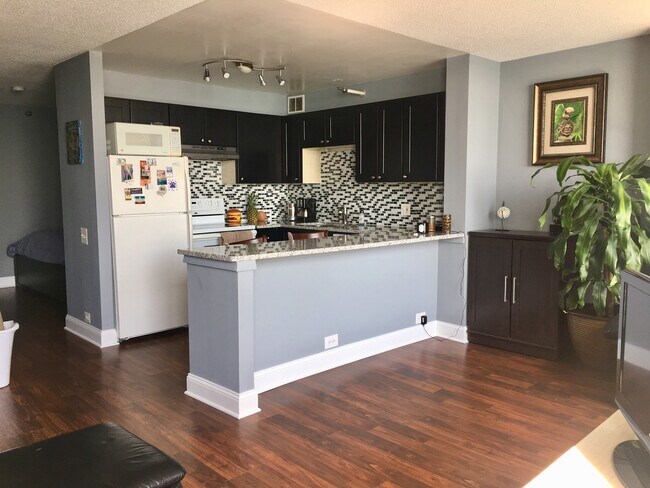 Building Photo - 474 N Lake Shore Dr