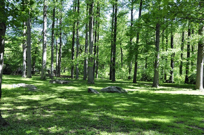 Building Photo - Luxury 1BD/1BA condo steps to SS METRO