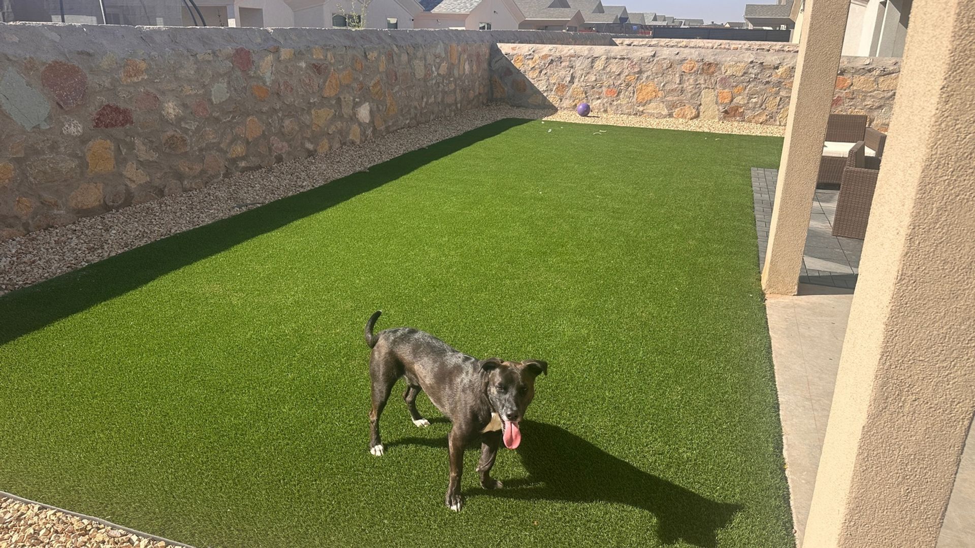 Building Photo - 12433 Polo Norte Dr