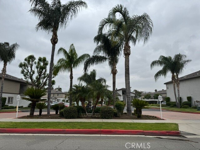 Building Photo - 1555 Orange Ave