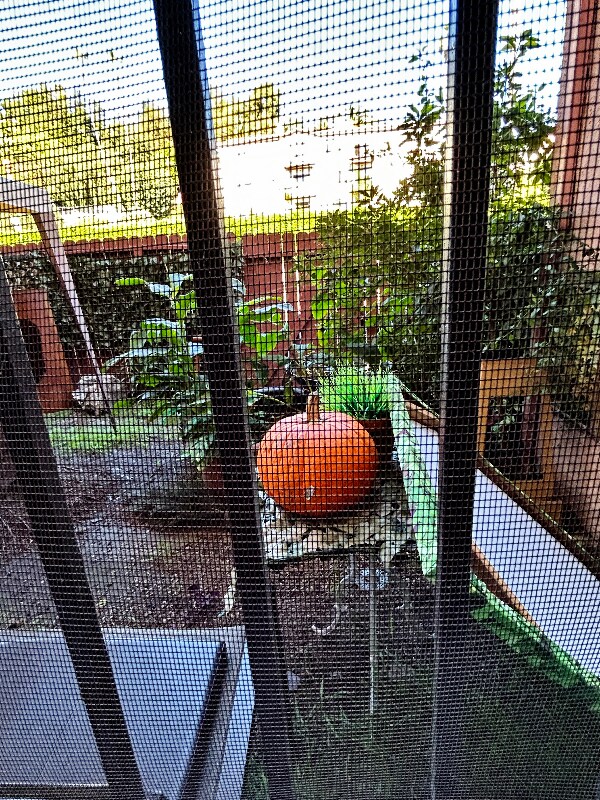 Building Photo - 1781 Orchid Ave