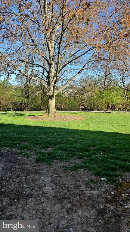 Building Photo - 909 Ravens Crest Dr