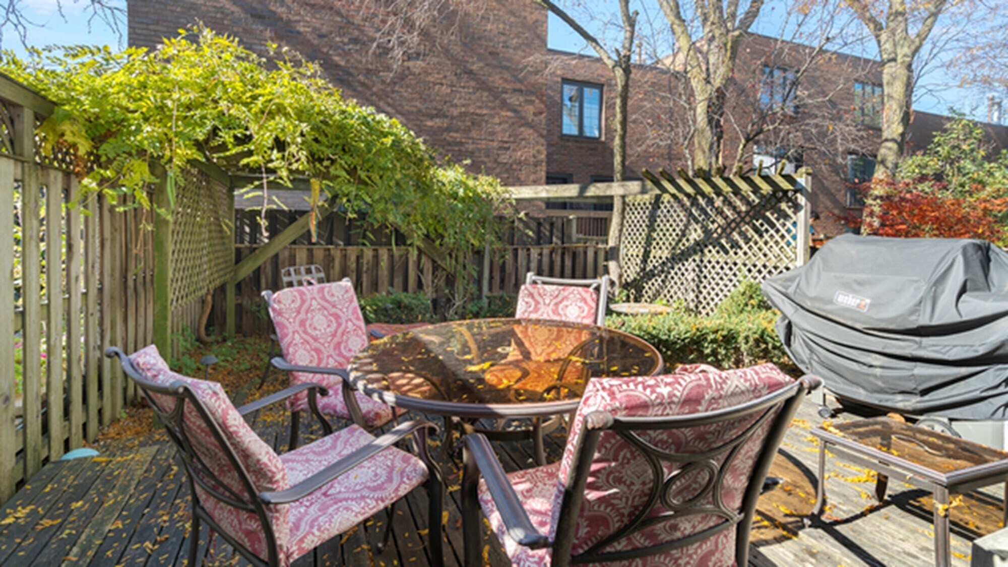 LARGE Backyard. - 1610 N Larrabee St