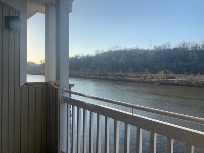 Building Photo - Star City - 4 Bedroom, 4 bath Condo - Available 08/05/2026