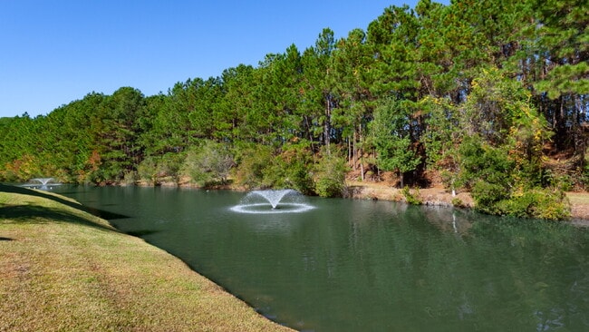 Building Photo - Large townhome in the Desirable Southbridge Community