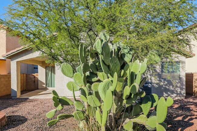 Building Photo - 6737 W Greenland Ct