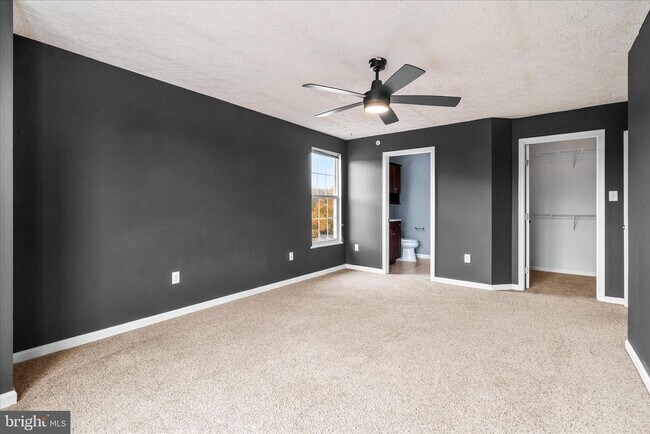 Building Photo - 5640 Wade Ct