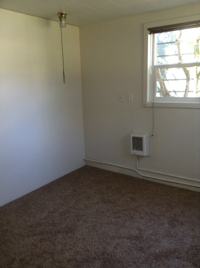 Building Photo - Beautiful 5 BR Campus Home w/Large Fenced Yard