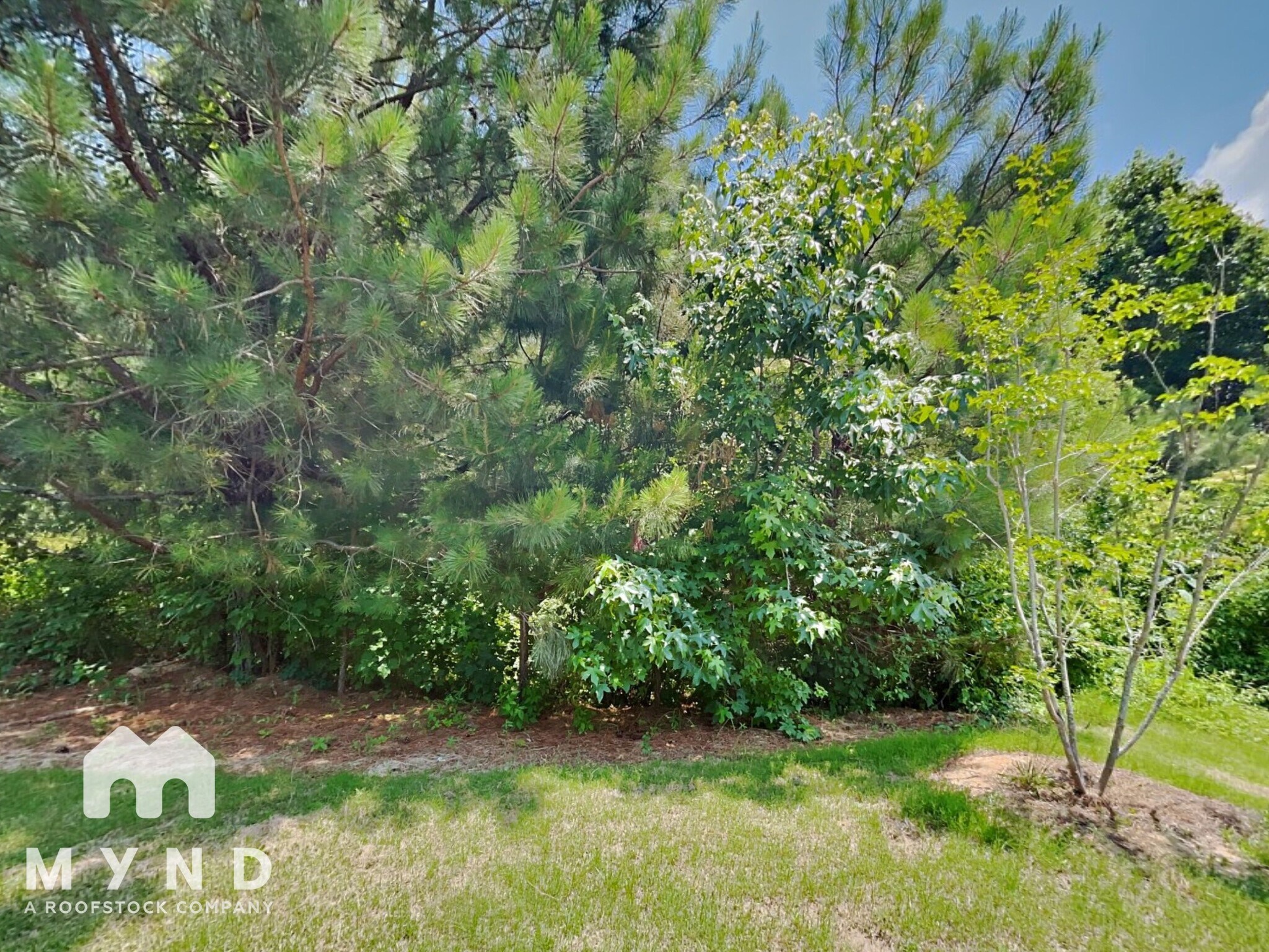 Building Photo - 707 Riverwood Pass