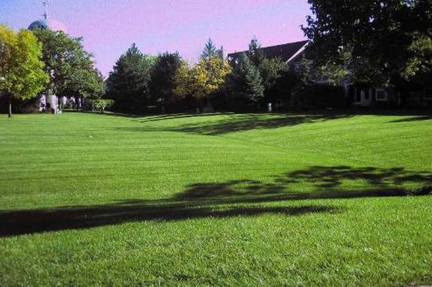 Building Photo - 1428 W Sapphire Dr