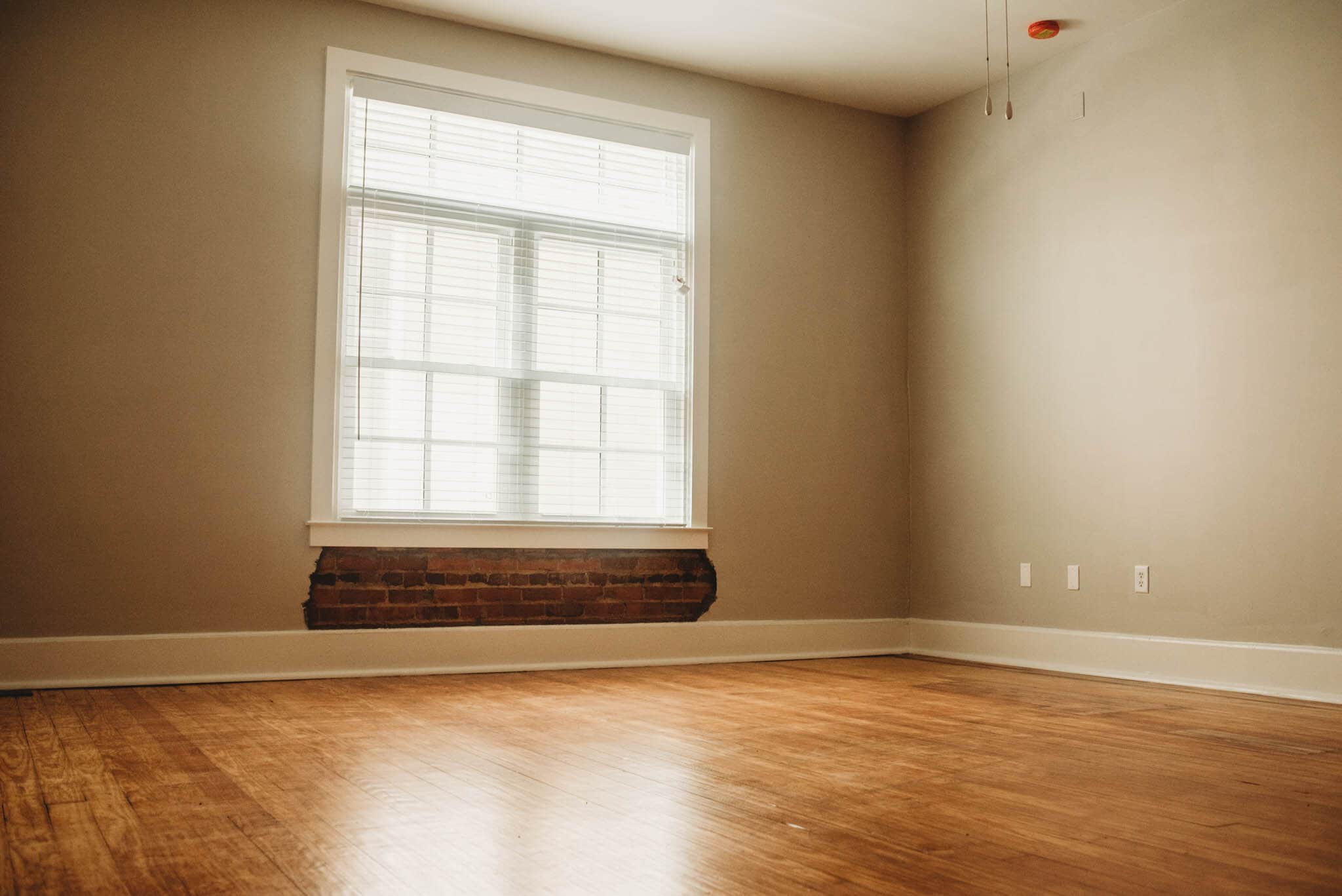 Living Room - 529 E Washington St