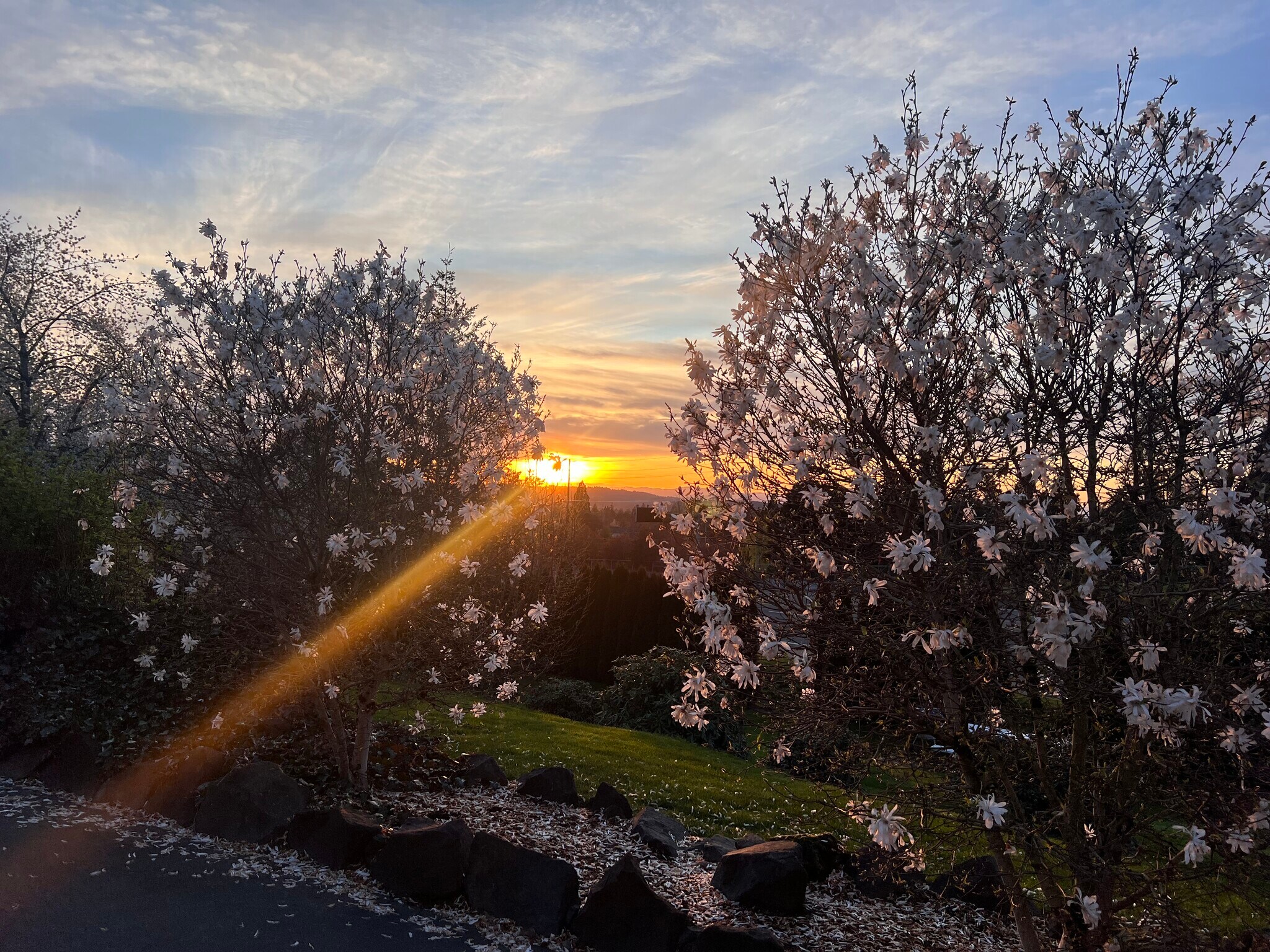 Building Photo - 11240 SW Barbur Blvd