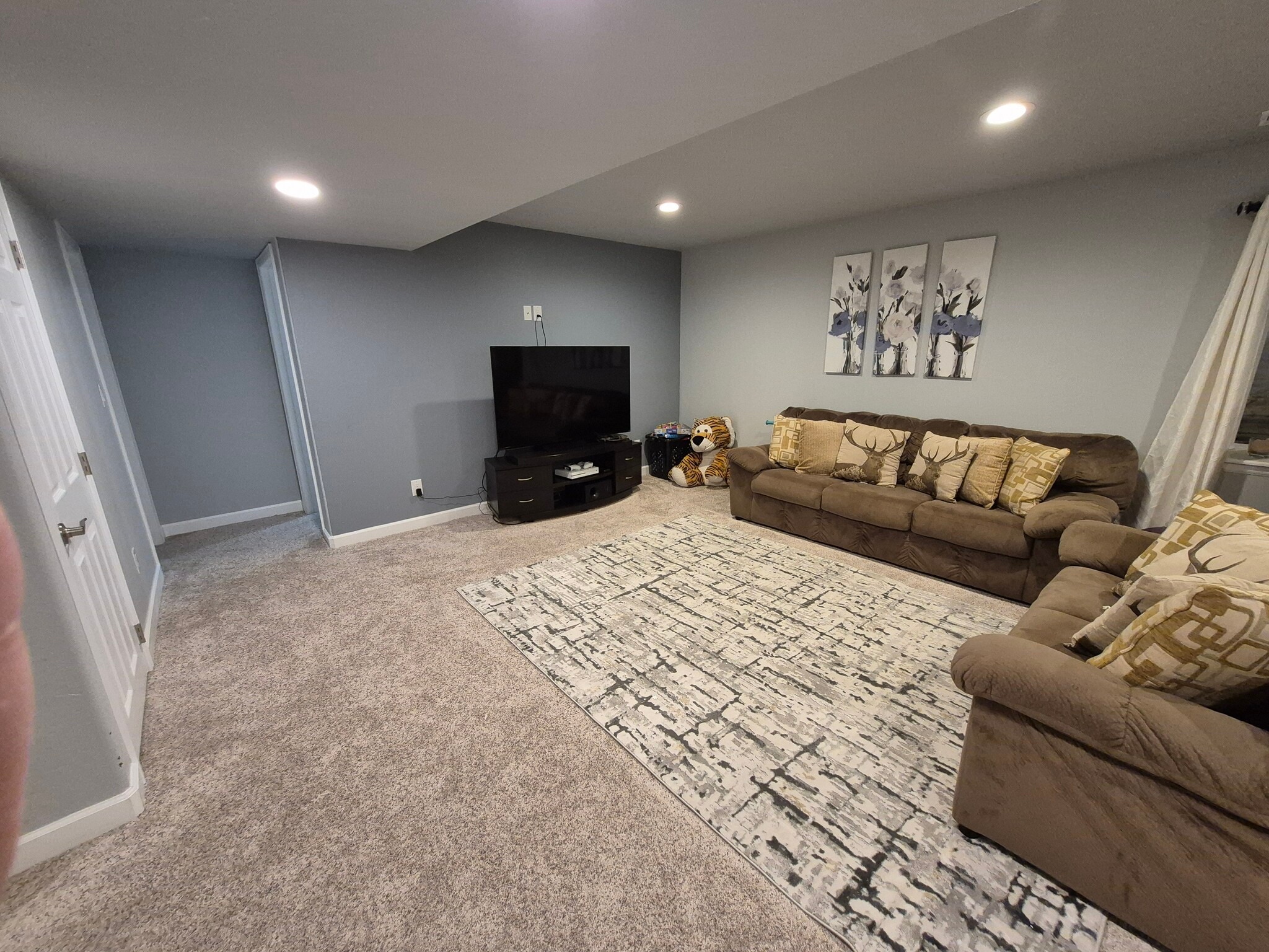 Basement Living room - 4441 S Johnson Ct