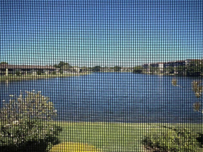 Building Photo - 10007 Winding Lake Rd