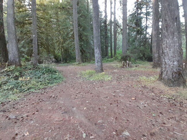 Building Photo - 1/2 off 1st Month's Rent ! Country Setting Single Wide Manufactured Home Silverbrook RV Park