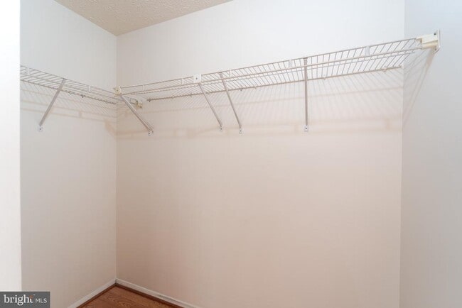 Building Photo - 5514 Whitfield Ct