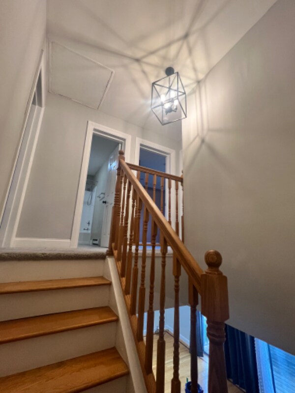 Building Photo - 4903 Chelsea Cove N
