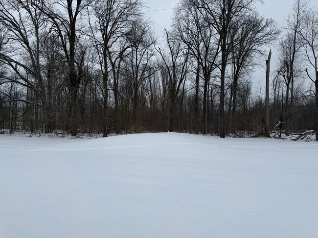 Building Photo - Austin - 10016/10020