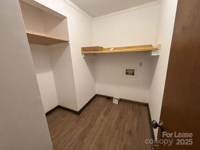 Building Photo - 117 Teakwood Ln