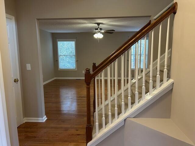 Building Photo - 3096 Roundway Down Ln