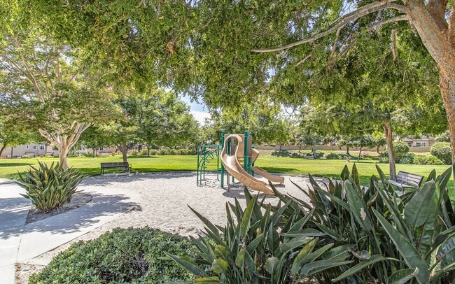 Building Photo - Amazing Beautiful Rancho Del Oro Home!!