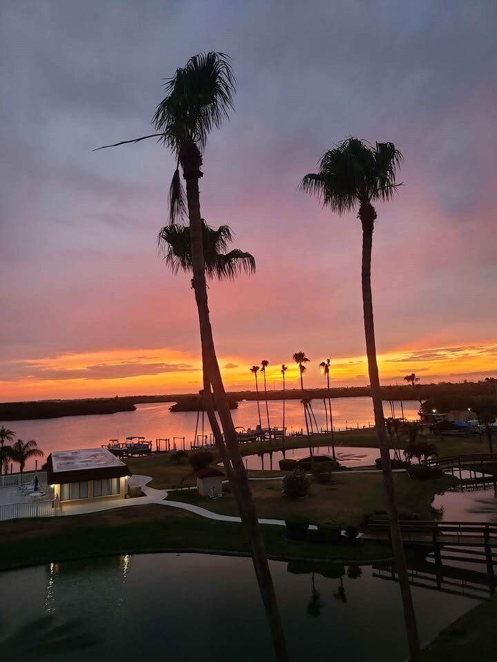 Stunning sunset - 760 S Brevard Ave