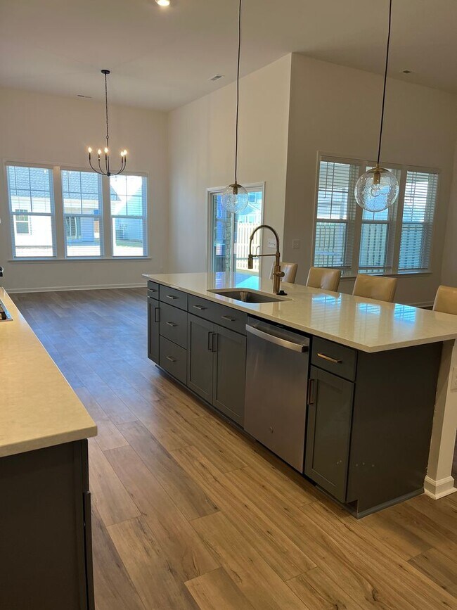 Building Photo - Beautiful New Home