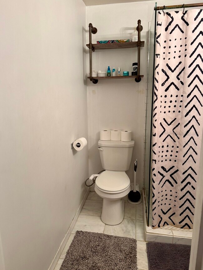 Unit 4 Bathroom - Grand Victoria Flats