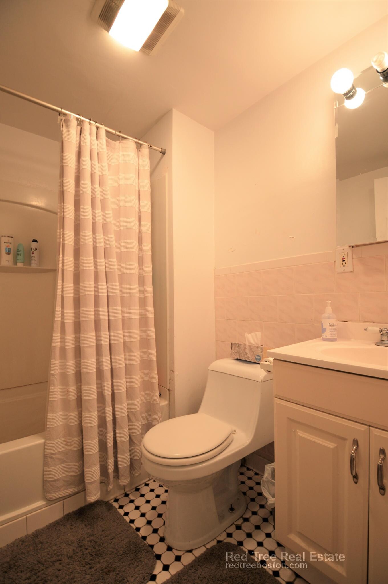 Building Photo - 54 Egmont St