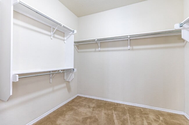 Building Photo - 27527 Paseo Mesa