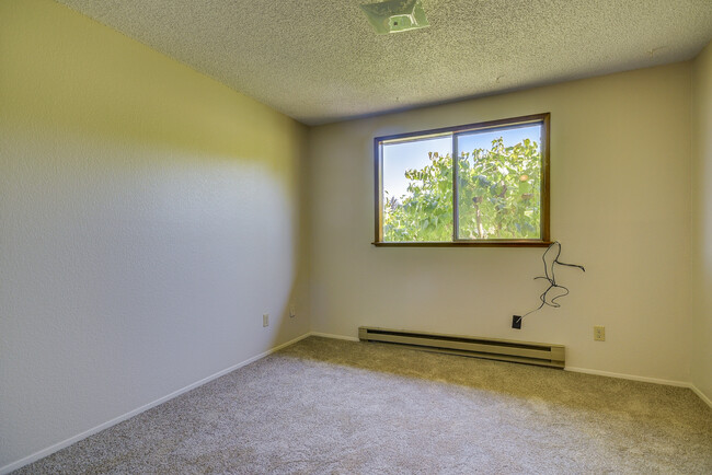 Building Photo - 3 Bedroom Rambler in heart of Coupeville