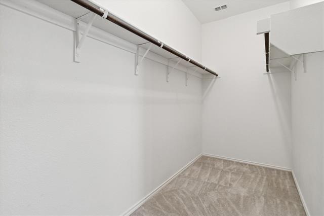 Building Photo - 2100 Hummingbird St